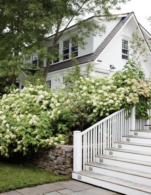 Maison de la côte hortensias blancs dans la cour ambiance très accueillante