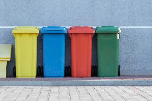 Naturalne metody i domowe środki na muchy, a także inne pomocne wskazówki dotyczące czyszczenia koszy na śmieci