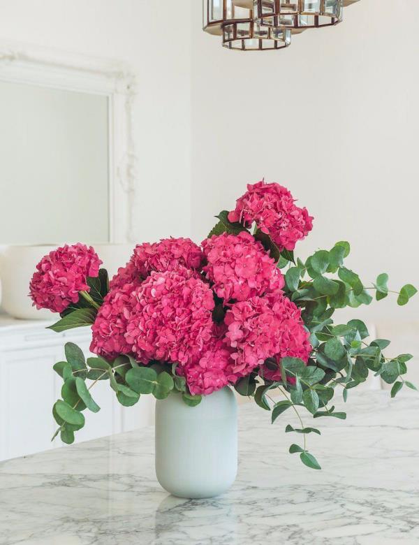 Hortensias roses roses à rouges belles grandes fleurs disposées dans un vase blanc