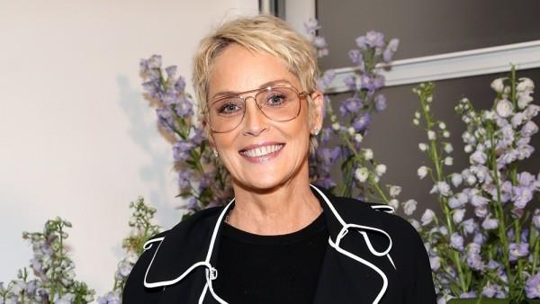 Sharon Stone a eu une longue lutte pour survivre et se remettre d'un AVC