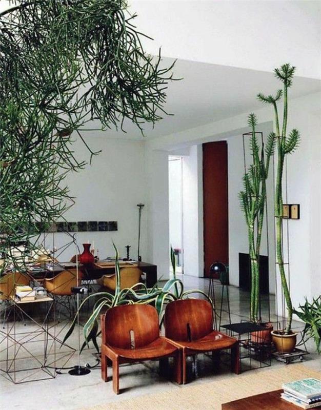 Idées de décoration pour la maison plantes en pot plantes d'intérieur du sol au plafond