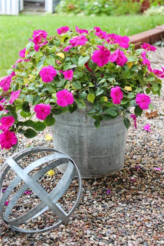 Décorer la baignoire en zinc - idées et astuces pour une décoration de jardin rustique Décoration de jardin en plante de garanium