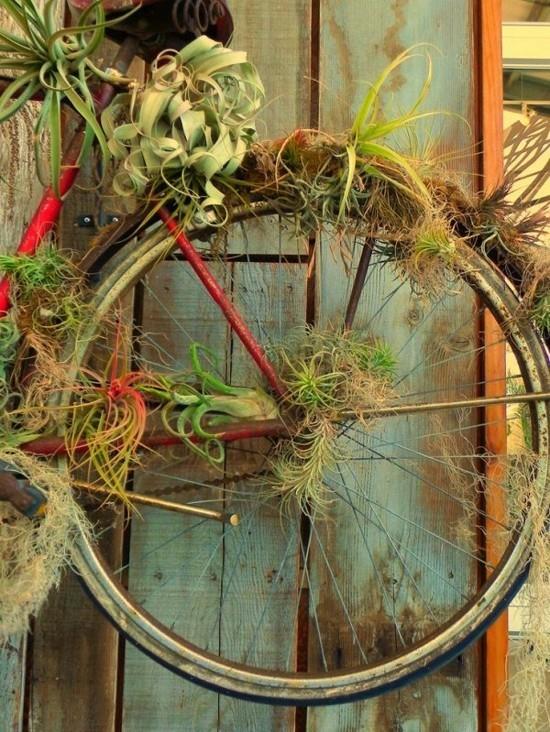 décoration de vélo insolite avec tillandsia