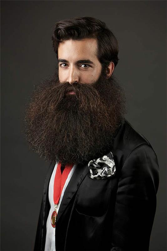 championnat de barbe barbe toilettage tendances de la mode masculine barbe excentrique