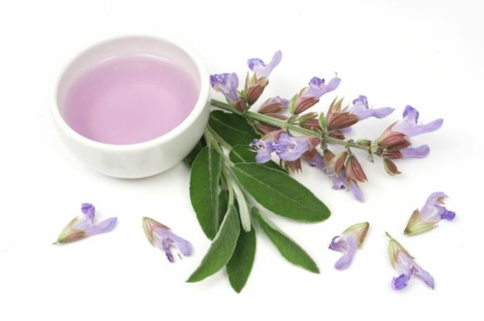 acheter des huiles de parfum herbes médicinales arôme de salvia