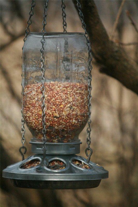 bocal en conserve mangeoire pour oiseaux bâtiment jardin