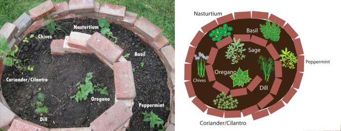 Spirale d'herbes bâtiment en pierre petites pierres pleines de fleurs en spirale d'herbes en brique