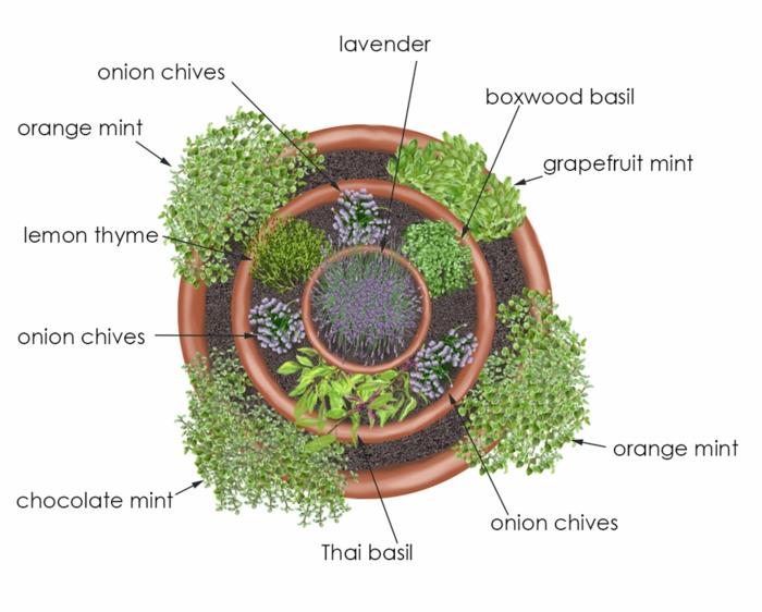 spirale d'herbes pierre petites pierres pleines de fleurs construire des cercles spirale d'herbes