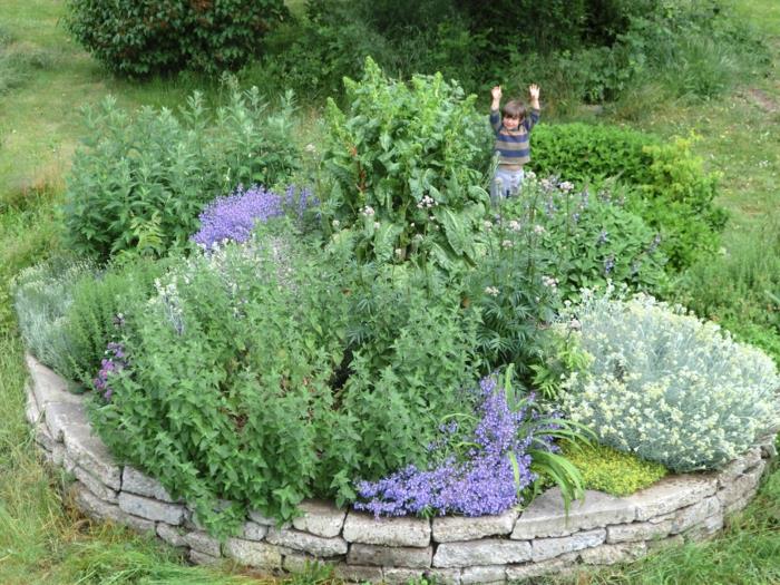 pierre en spirale d'herbes petites pierres pleines de fleurs construisent une splendide spirale d'herbes de lavande