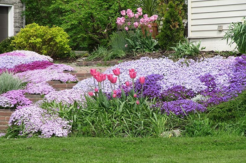 Mehrjährige Blumen für den Garten und den Garten - die Vorteile des Pflanzens