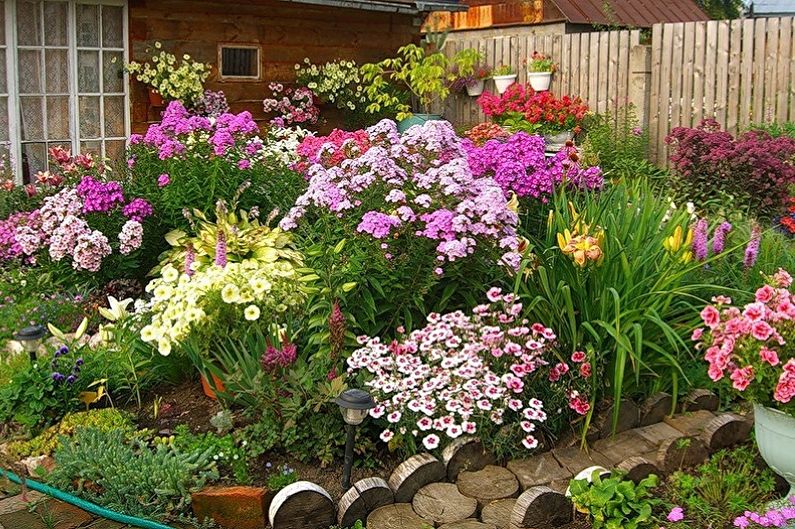 Mehrjährige Blumen für eine Sommerresidenz und einen Garten - Foto