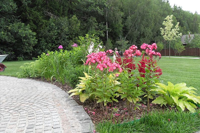 Mehrjährige Blumen für eine Sommerresidenz und einen Garten - Foto