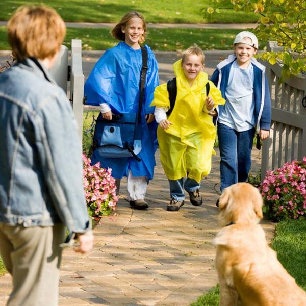 top jardin questions réponse pluie parapluie jaune bleu