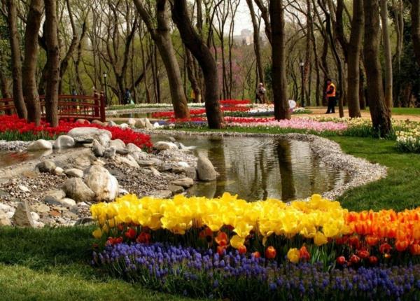 tulipany zdjęcia turcja emirgan park wiosna