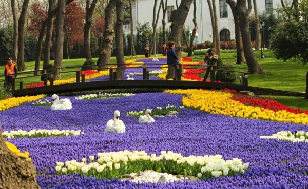 tulipany zdjęcia turcja emirgan park stambuł most nad rzeką łabędzie