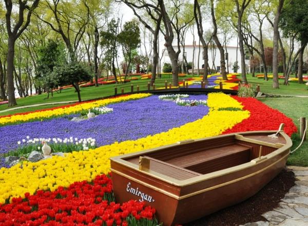 tulipany zdjęcia łąka łódź emirgan park stambuł