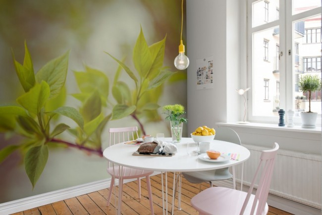 Фототапетите за кухнята (цветя или клони) ще ви помогнат да създадете желания акцент върху къса стена